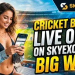 Cricket Betting with Skyexchange: The Ultimate Fan Guide