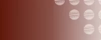 betting website cricket

