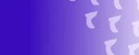 cricket betting id
